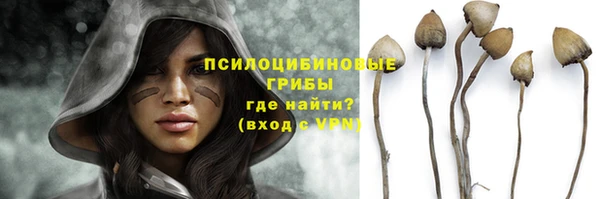 apvp Нея