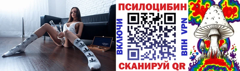 Купить где  Коркино  Галлюциногенные грибы MAGIC MUSHROOMS 